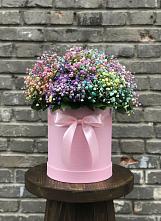 Цветочная композиция из Гипсофила и Розы в шляпной коробке #REPLACE_PRED# Кусье-Александровский