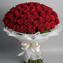 Букет 101 Красная роза Блэк Мэджик в Кусье-Александровский