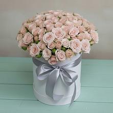 Цветочная композиция из Розы в шляпной коробке в Кусье-Александровский