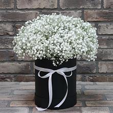 Цветочная композиция из Гипсофила в шляпной коробке #REPLACE_PRED# Кусье-Александровский