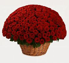 Премиум букет из: Розы в Кусье-Александровский